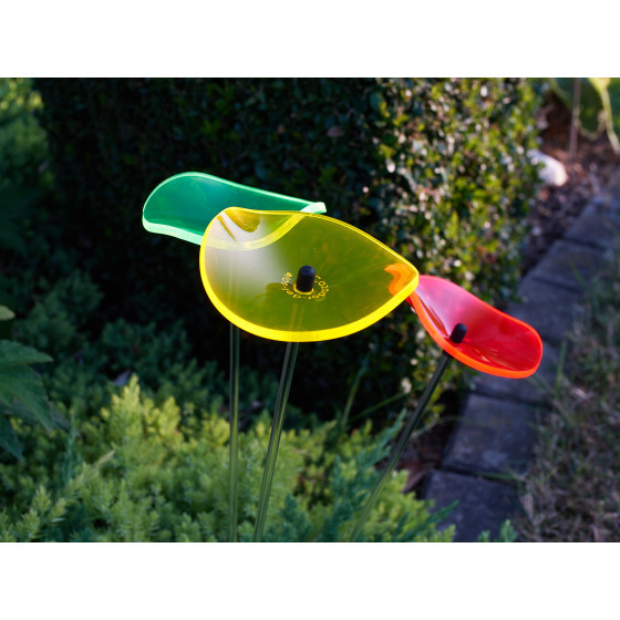 Attrape soleil cazador del sol