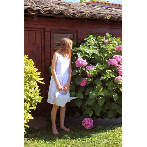 Une bordure de jardin discrète