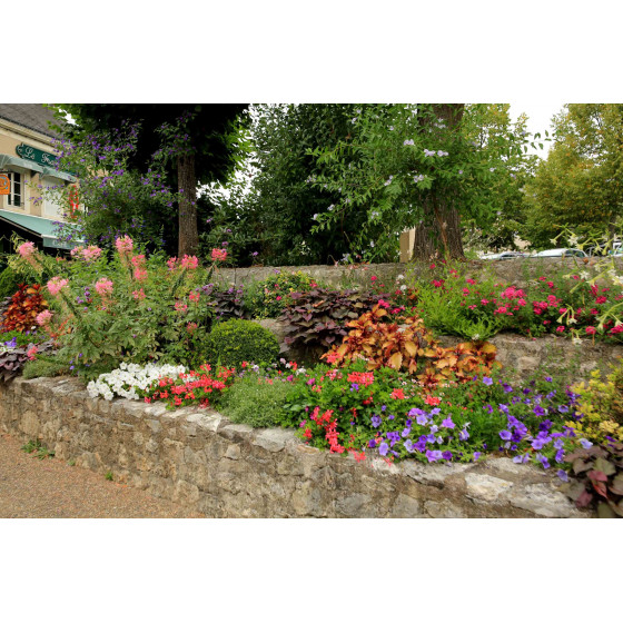 Terreau de plantation professionnel