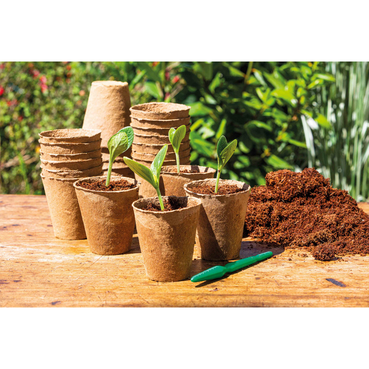 Pots de Plantes écologiques Planteurs de semis pour la Culture des Plantes ANSUG Paquet de 30 11cm Pots de semis en Fibre biodégradables Ronds avec 10 étiquettes dusine en Plastique 