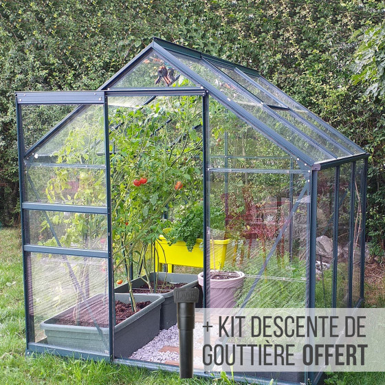 serre en verre avec porte ouverte 3,7 m2