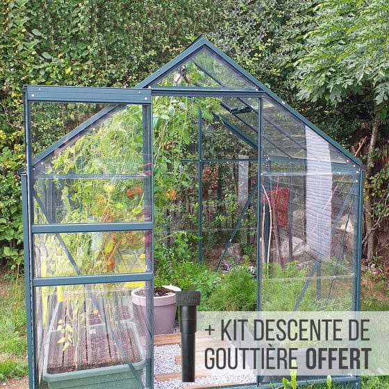 serre jardin verre avec aluminium couleur verte