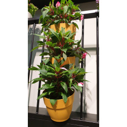 Jardinière murale verticale 3 pots fleur jaune