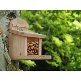 Mangeoire en bois pour écureuils pour extérieur, jardin, cour, mangeoire  durable pour écureuils avec vis pour station d'alimentation pour écureuils  : : Terrasse et Jardin