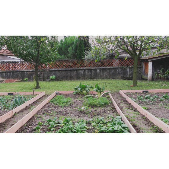 bordures de jardin en bois
