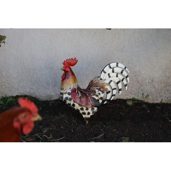 coq décoration jardin avec poule