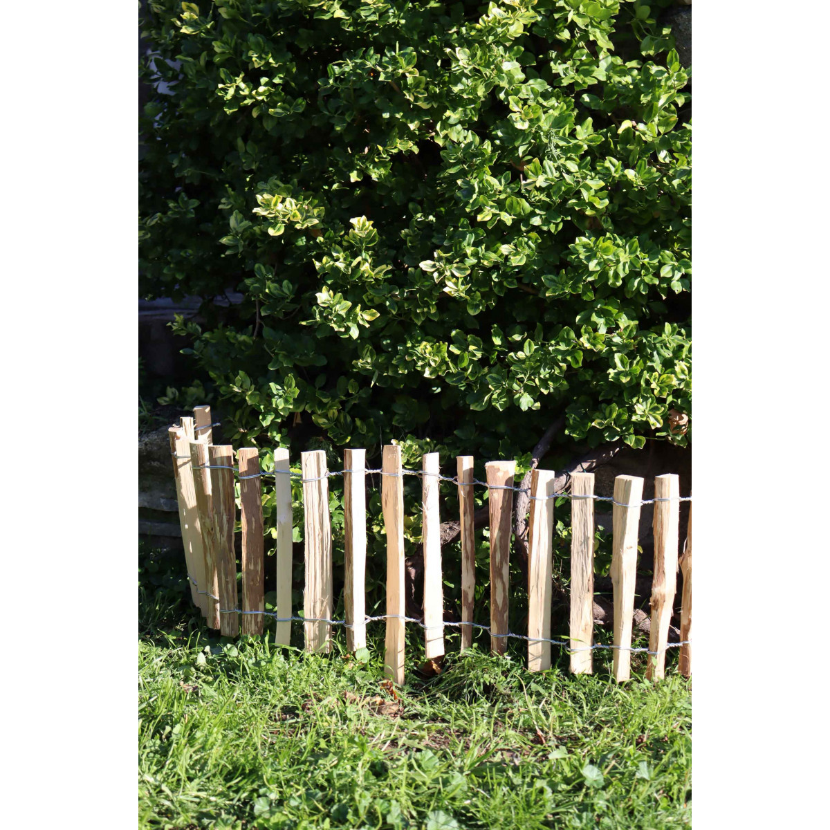 Clôture de jardin en fil de fer vert : solution pratique et esthétique