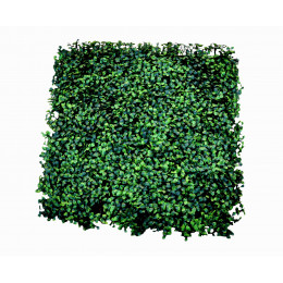 mur vegetal artificiel