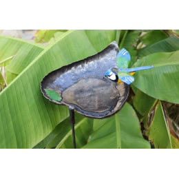 mangeoire en forme de cœur avec mésange à planter