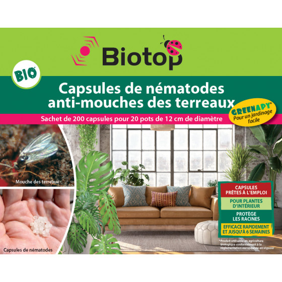 nématode mouche terreau