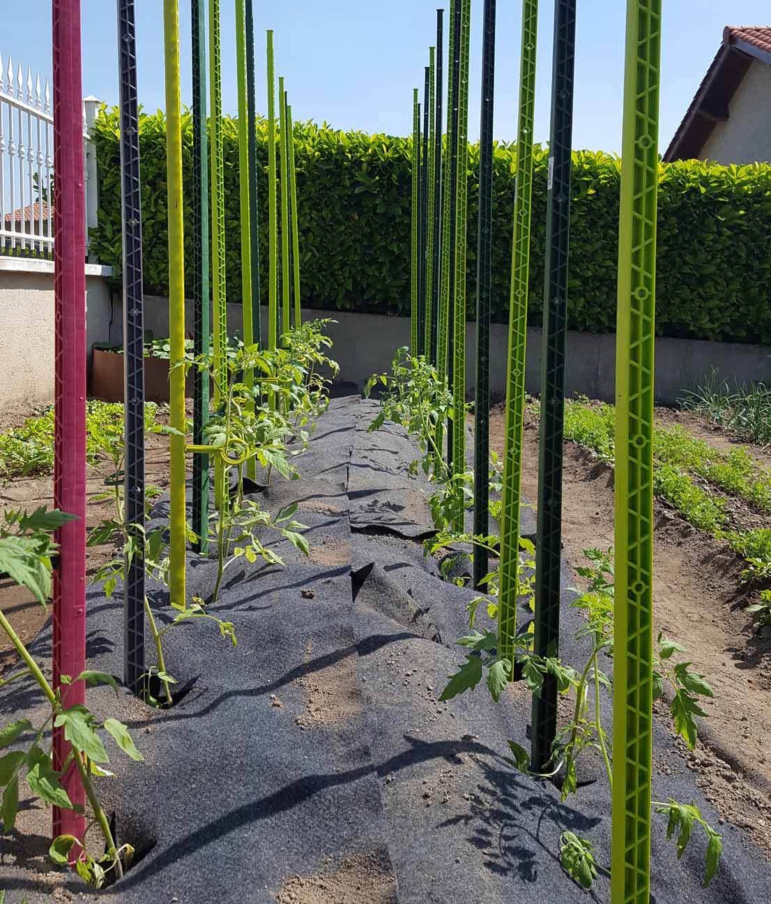 Tuteur pour tomates en plastique