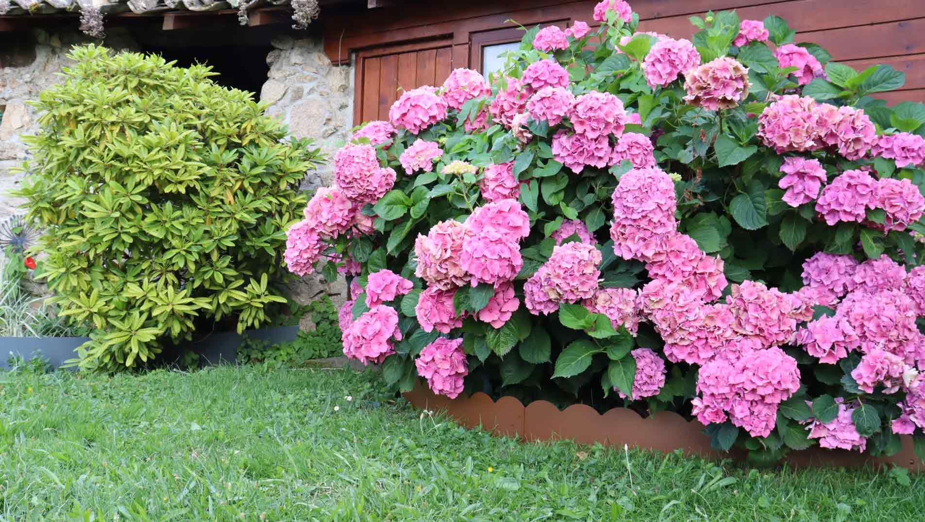 comment-choisir-ses-bordures-de-jardin_1.jpg