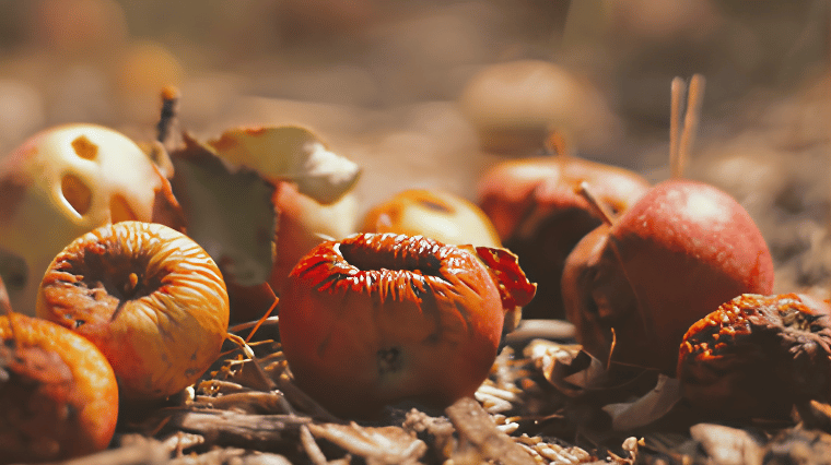 Comment faire du compost ?