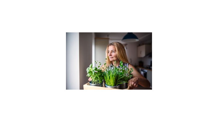 Créer un jardin aromatique en 5 étapes faciles