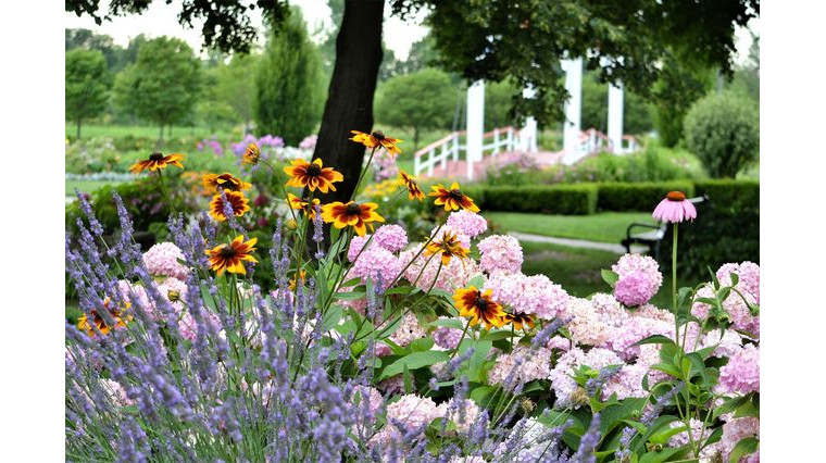 Les plus belles variétés de fleurs à planter pour un jardin fleuri jusqu’à l’automne