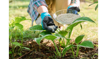 Les engrais naturels à privilégier au printemps