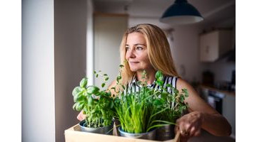 Créer un jardin aromatique en 5 étapes faciles