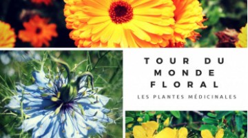 TOUR DU MONDE FLORAL - LES PLANTES MÉDICINALES