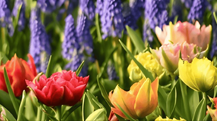 AGENDA DU JARDINIER EN MAI