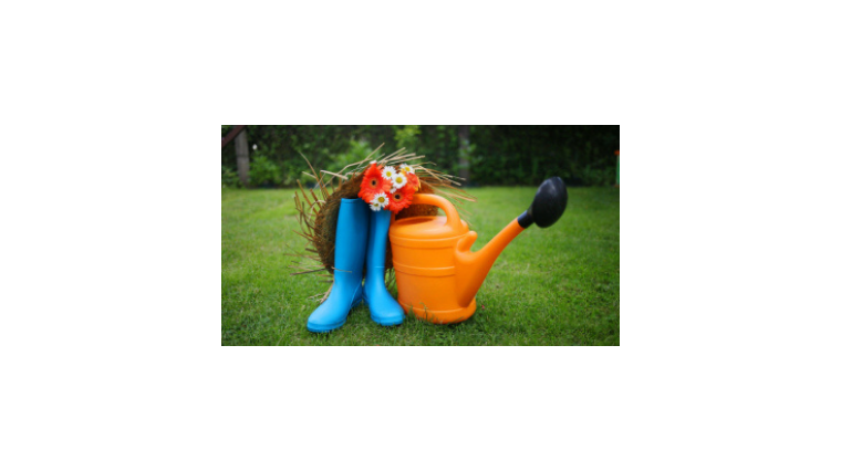 Comment organiser son potager ?