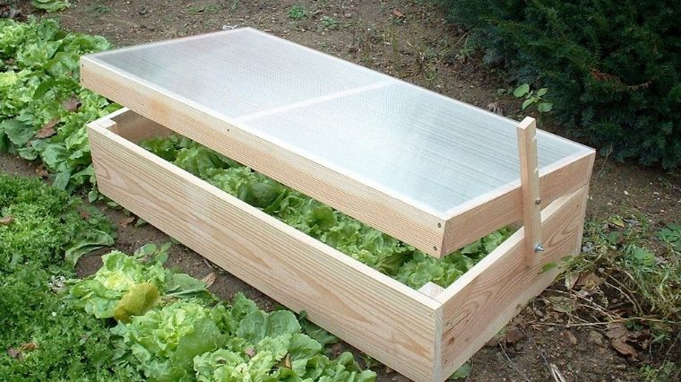 La culture sous châssis : récoltez vos légumes plus tôt !