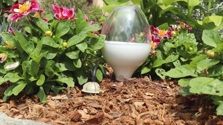 Les bienfaits du paillage pour un jardin naturel et sans entretien