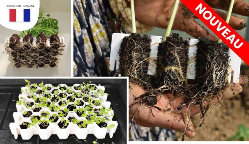 Préparez vos semis avec un kit de germination innovant !