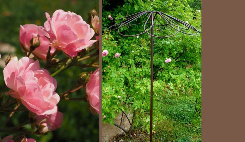 Décorez votre jardin de façon originale 
