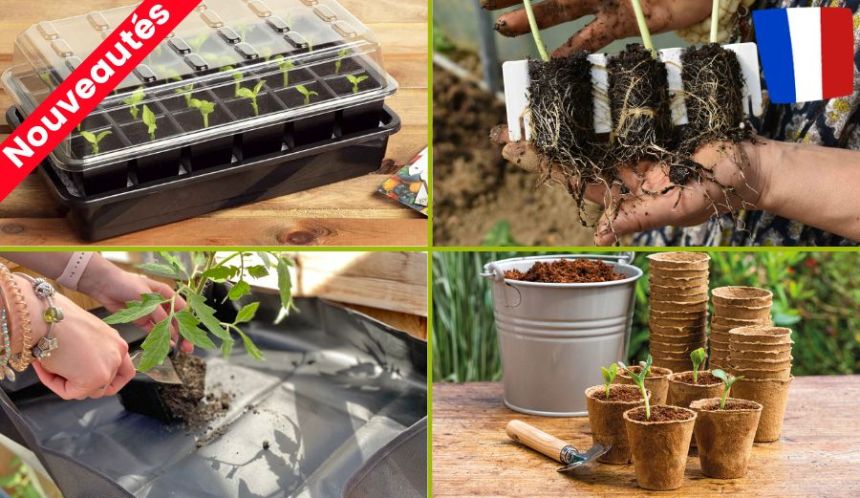 Réussissez vos semis à coup sûr !